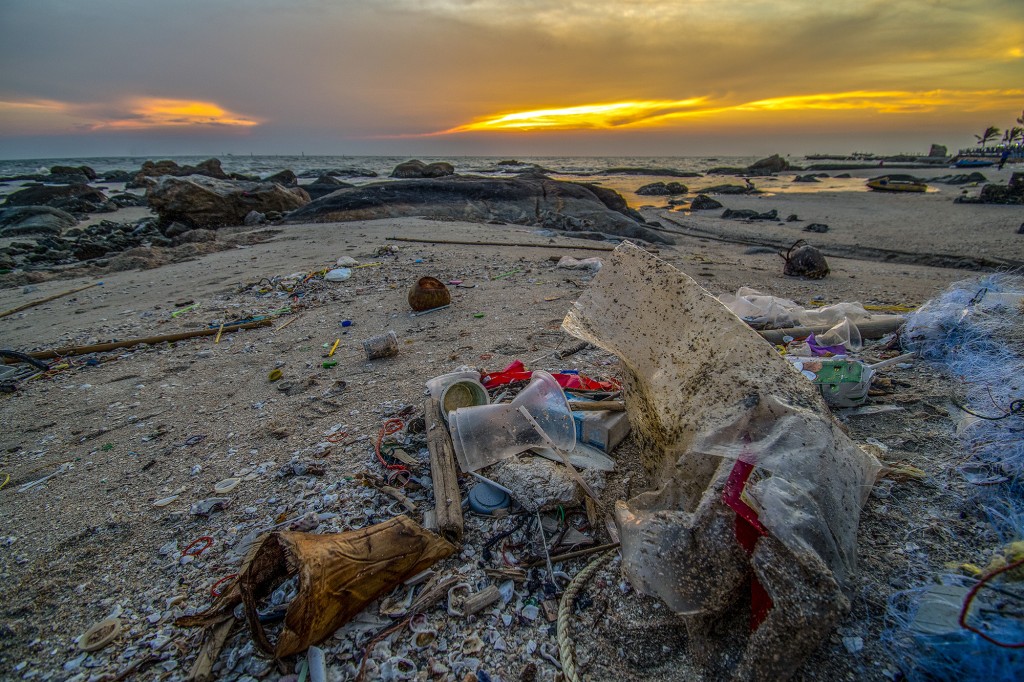 Uma cidade dinamarquesa gastou US $ 150.000 transportando lixo da praia para o oceano