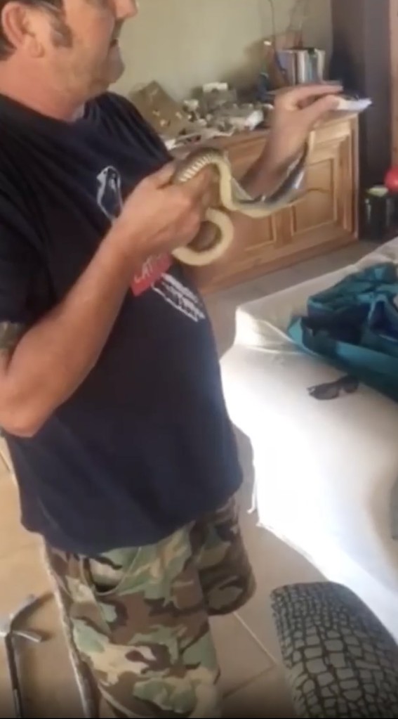 O pai conseguiu pegar a cobra sem ser mordido.