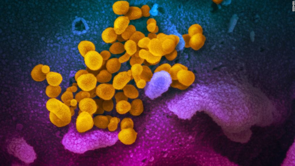 Pandemia de vírus corona e a variável ômicron