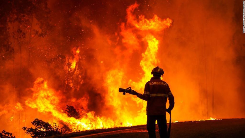 Onda de calor na Europa: Reino Unido vê o terceiro dia mais quente de todos os tempos, incêndios florestais atingem França e Espanha